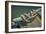 Close Up of Boat Cleat and Rope-Rona Schwarz-Framed Photographic Print