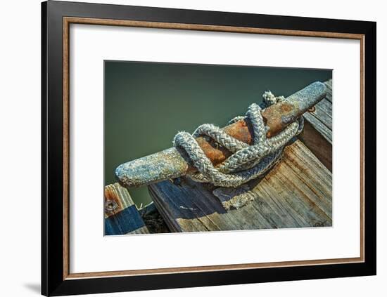 Close Up of Boat Cleat and Rope-Rona Schwarz-Framed Photographic Print