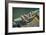 Close Up of Boat Cleat and Rope-Rona Schwarz-Framed Photographic Print