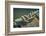 Close Up of Boat Cleat and Rope-Rona Schwarz-Framed Photographic Print