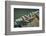 Close Up of Boat Cleat and Rope-Rona Schwarz-Framed Photographic Print