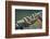 Close Up of Boat Cleat and Rope-Rona Schwarz-Framed Photographic Print