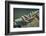 Close Up of Boat Cleat and Rope-Rona Schwarz-Framed Photographic Print