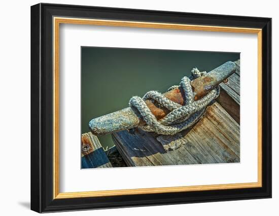 Close Up of Boat Cleat and Rope-Rona Schwarz-Framed Photographic Print