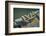 Close Up of Boat Cleat and Rope-Rona Schwarz-Framed Photographic Print