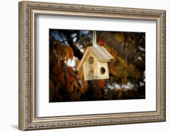 Close-up of broken birdhouse, Oakland, Alameda County, California, USA-Panoramic Images-Framed Photographic Print