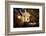 Close-up of broken birdhouse, Oakland, Alameda County, California, USA-Panoramic Images-Framed Photographic Print