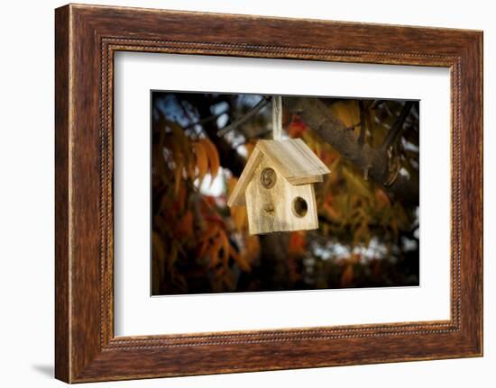 Close-up of broken birdhouse, Oakland, Alameda County, California, USA-Panoramic Images-Framed Photographic Print