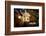 Close-up of broken birdhouse, Oakland, Alameda County, California, USA-Panoramic Images-Framed Photographic Print