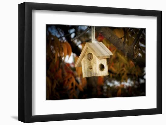 Close-up of broken birdhouse, Oakland, Alameda County, California, USA-Panoramic Images-Framed Photographic Print