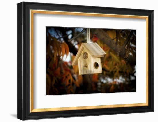 Close-up of broken birdhouse, Oakland, Alameda County, California, USA-Panoramic Images-Framed Photographic Print