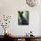 Close-up of Bronze Statue and Fountain in Mariatorget Square, Stockholm, Sweden-Nancy & Steve Ross-Mounted Photographic Print displayed on a wall