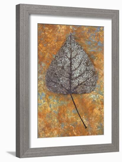 Close Up of Brown and Bleached Autumn or Winter Leaf of Black Poplar or Populus Nigra Tree-Den Reader-Framed Photographic Print