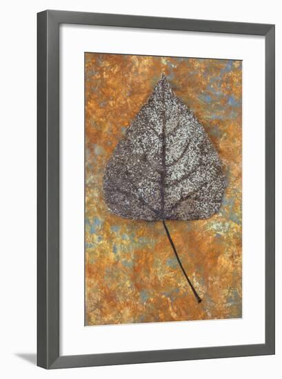 Close Up of Brown and Bleached Autumn or Winter Leaf of Black Poplar or Populus Nigra Tree-Den Reader-Framed Photographic Print