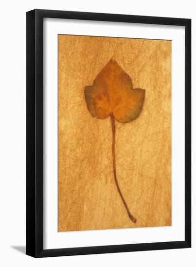 Close Up of Brown Autumn Or Winter Leaf of Ivy Or Hedera Helix Lying On Rough Beige Surface-Den Reader-Framed Photographic Print