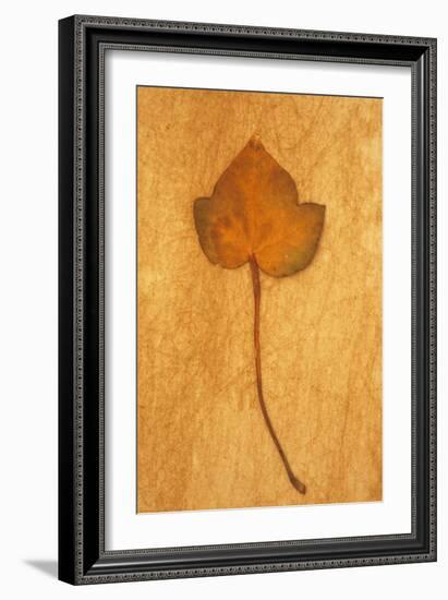 Close Up of Brown Autumn Or Winter Leaf of Ivy Or Hedera Helix Lying On Rough Beige Surface-Den Reader-Framed Photographic Print