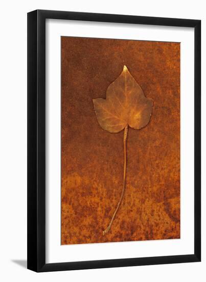 Close Up of Brown Autumn Or Winter Leaf of Ivy Or Hedera Helix Lying On Rusty Metal Sheet-Den Reader-Framed Photographic Print