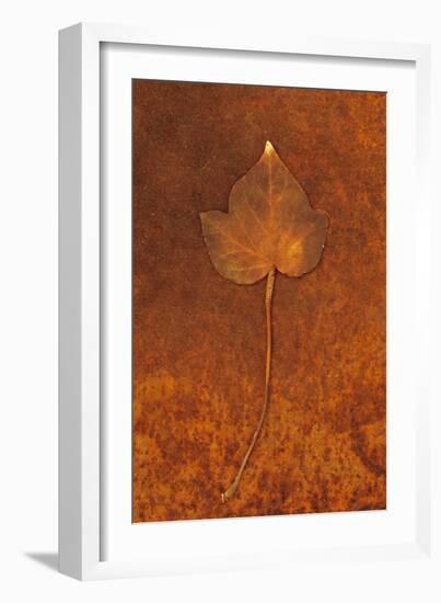 Close Up of Brown Autumn Or Winter Leaf of Ivy Or Hedera Helix Lying On Rusty Metal Sheet-Den Reader-Framed Photographic Print