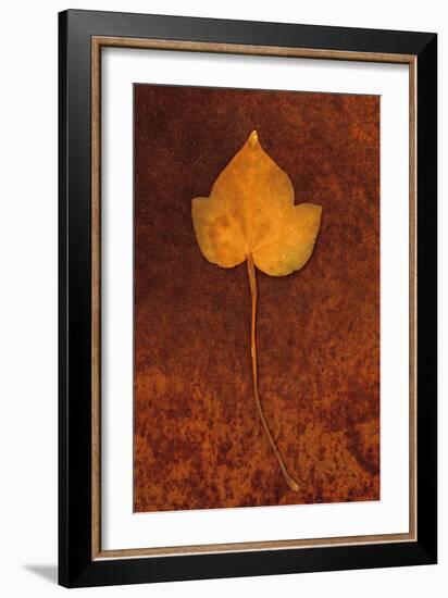 Close Up of Brown Autumn Or Winter Leaf of Ivy Or Hedera Helix Lying On Rusty Metal Sheet-Den Reader-Framed Photographic Print