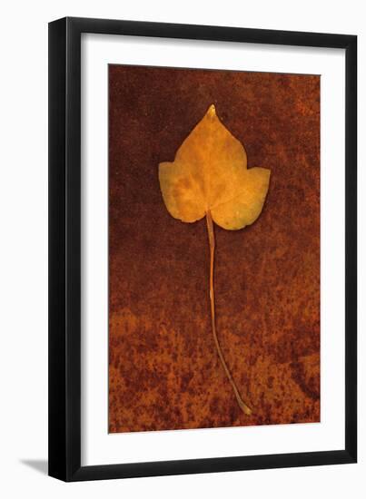 Close Up of Brown Autumn Or Winter Leaf of Ivy Or Hedera Helix Lying On Rusty Metal Sheet-Den Reader-Framed Photographic Print