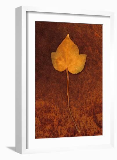 Close Up of Brown Autumn Or Winter Leaf of Ivy Or Hedera Helix Lying On Rusty Metal Sheet-Den Reader-Framed Photographic Print