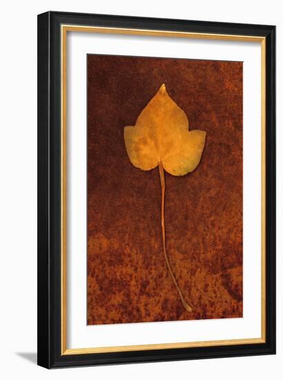 Close Up of Brown Autumn Or Winter Leaf of Ivy Or Hedera Helix Lying On Rusty Metal Sheet-Den Reader-Framed Photographic Print