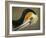 Close-up of Brown Pelican Preening, La Jolla, California, USA-Arthur Morris-Framed Photographic Print