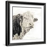 Close Up of Bull's Head-Mark Gemmell-Framed Photographic Print