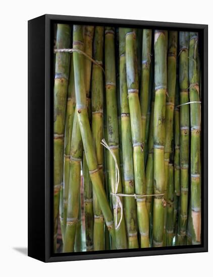 Close-Up of Bundles of Sugar Cane in Mexico, North America-Michelle Garrett-Framed Premier Image Canvas