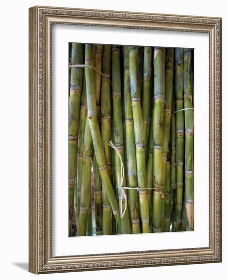 Close-Up of Bundles of Sugar Cane in Mexico, North America-Michelle Garrett-Framed Photographic Print