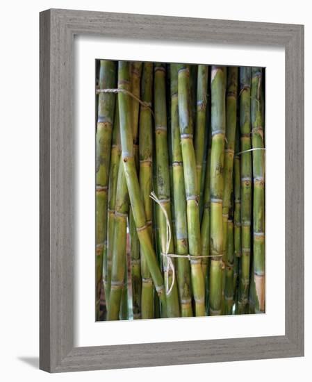 Close-Up of Bundles of Sugar Cane in Mexico, North America-Michelle Garrett-Framed Photographic Print