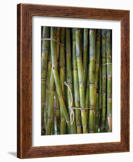 Close-Up of Bundles of Sugar Cane in Mexico, North America-Michelle Garrett-Framed Photographic Print