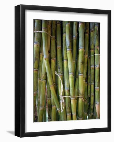 Close-Up of Bundles of Sugar Cane in Mexico, North America-Michelle Garrett-Framed Photographic Print