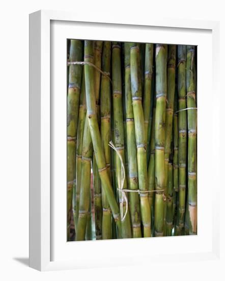 Close-Up of Bundles of Sugar Cane in Mexico, North America-Michelle Garrett-Framed Photographic Print