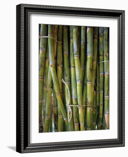 Close-Up of Bundles of Sugar Cane in Mexico, North America-Michelle Garrett-Framed Photographic Print