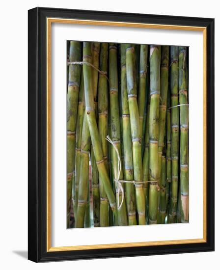 Close-Up of Bundles of Sugar Cane in Mexico, North America-Michelle Garrett-Framed Photographic Print