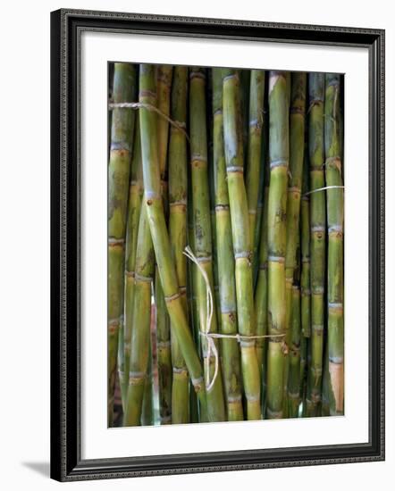 Close-Up of Bundles of Sugar Cane in Mexico, North America-Michelle Garrett-Framed Photographic Print