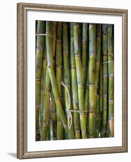 Close-Up of Bundles of Sugar Cane in Mexico, North America-Michelle Garrett-Framed Photographic Print