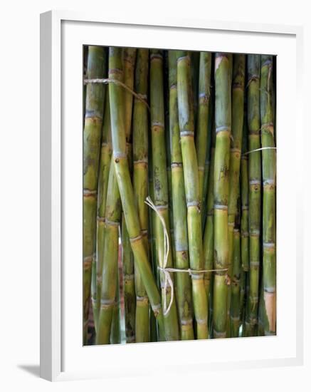 Close-Up of Bundles of Sugar Cane in Mexico, North America-Michelle Garrett-Framed Photographic Print