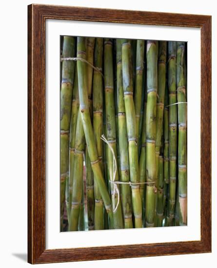 Close-Up of Bundles of Sugar Cane in Mexico, North America-Michelle Garrett-Framed Photographic Print