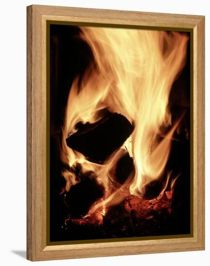 Close-up of Campfire at Night-John Coletti-Framed Premier Image Canvas