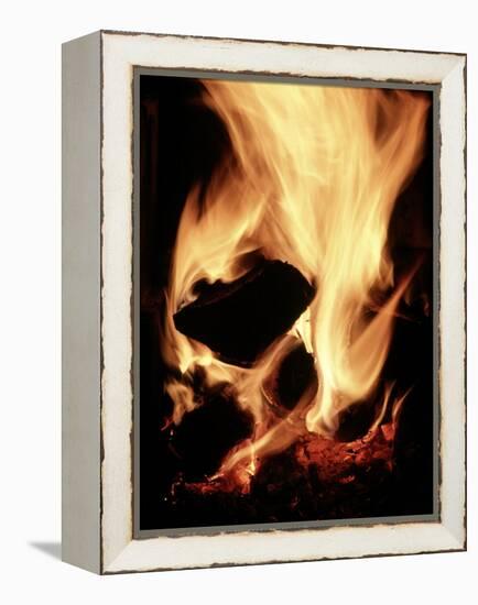 Close-up of Campfire at Night-John Coletti-Framed Premier Image Canvas