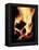 Close-up of Campfire at Night-John Coletti-Framed Premier Image Canvas
