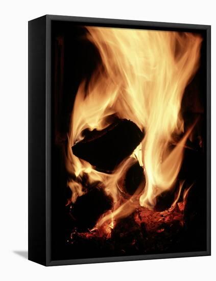 Close-up of Campfire at Night-John Coletti-Framed Premier Image Canvas