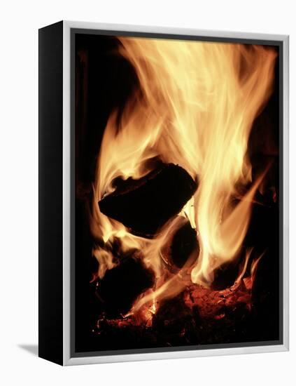 Close-up of Campfire at Night-John Coletti-Framed Premier Image Canvas