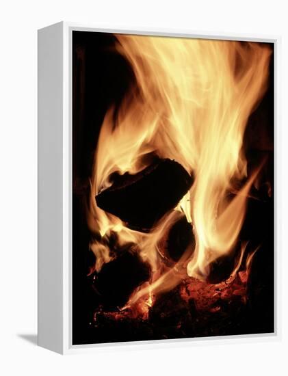 Close-up of Campfire at Night-John Coletti-Framed Premier Image Canvas