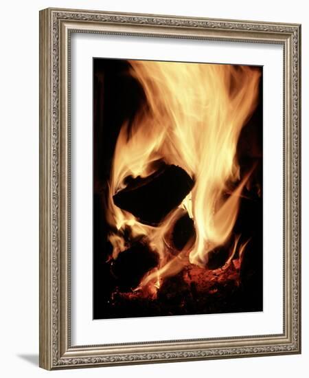 Close-up of Campfire at Night-John Coletti-Framed Photographic Print