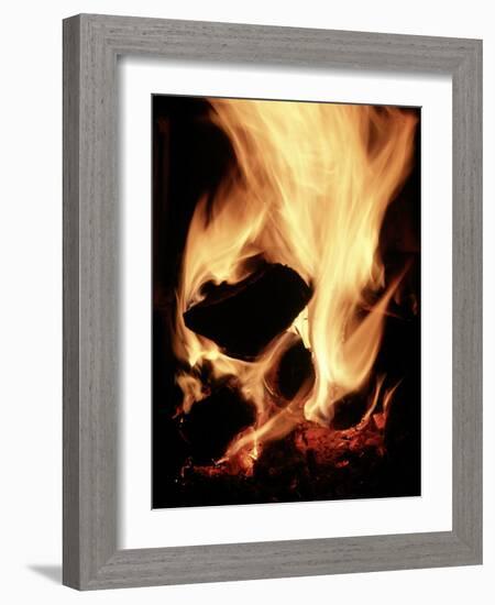 Close-up of Campfire at Night-John Coletti-Framed Photographic Print