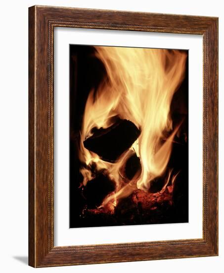 Close-up of Campfire at Night-John Coletti-Framed Photographic Print