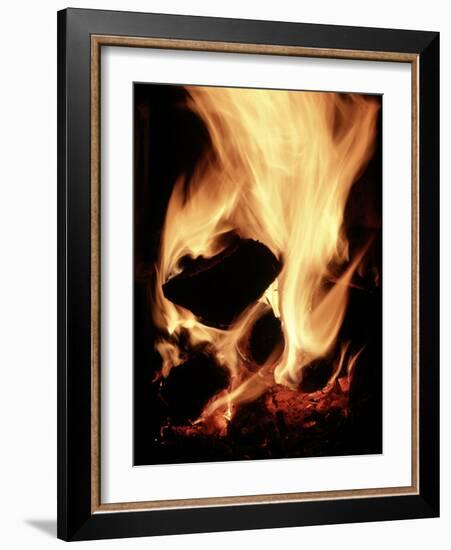 Close-up of Campfire at Night-John Coletti-Framed Photographic Print